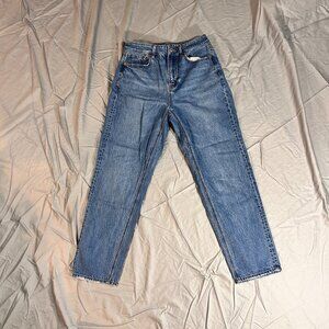 American Eagle Mom Straight Jean Size 4 Regular